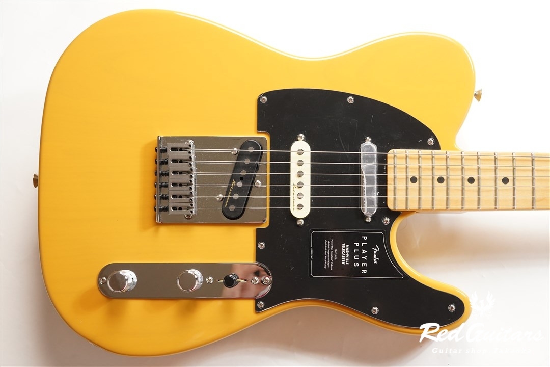 Fender Player Plus Nashville Telecaster - Butterscotch Blonde | Red Guitars  Online Store